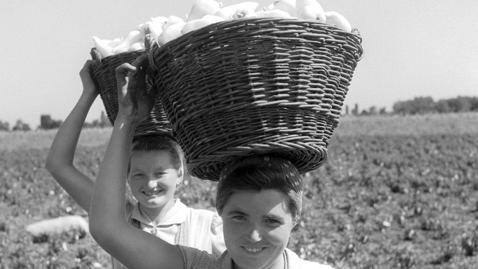 1956