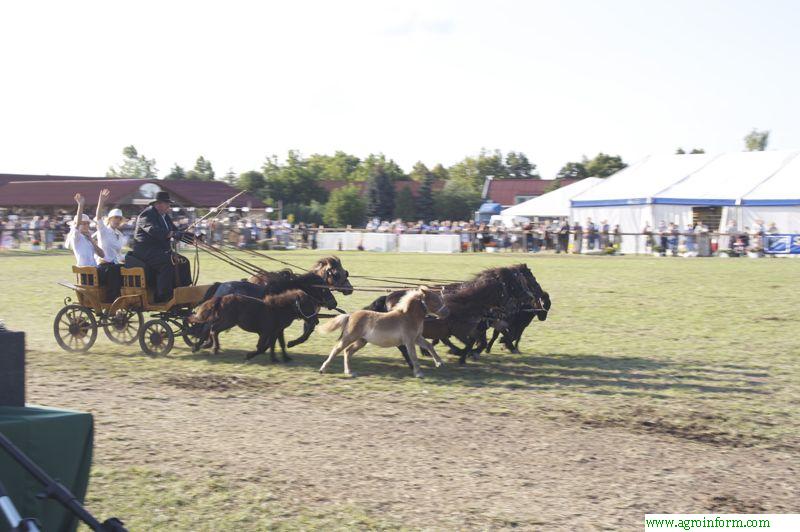 Farmer Expo - Debrecen, 2008
